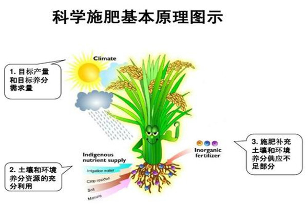 测土配方施肥仪