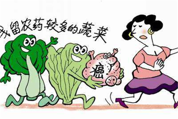 食品安全检测仪