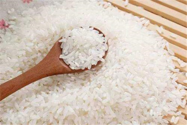 食品安全检测仪