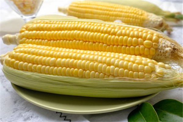 蔬菜农药检测仪器