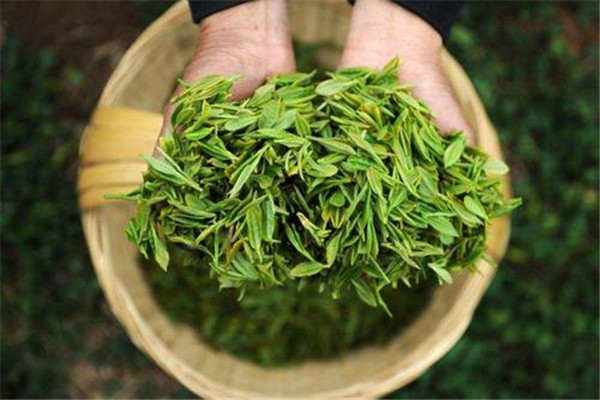 食品检测仪器设备