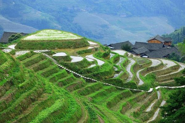 土壤水分检测仪标准化梯田建设