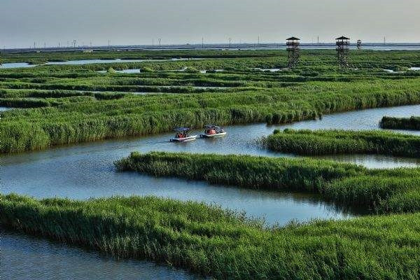 土壤养分检测仪防止湿地土壤退化