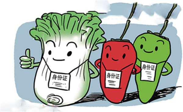 农残快速检测仪器厂家哪家好？