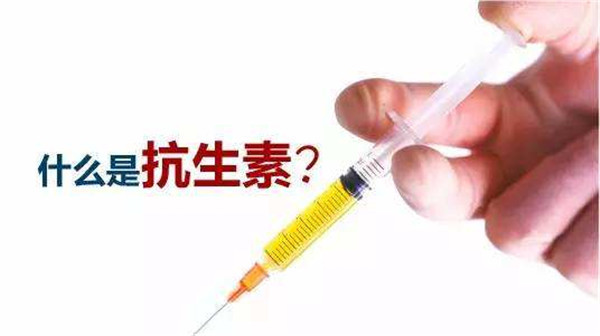 手持式农药检测仪哪个品牌好？