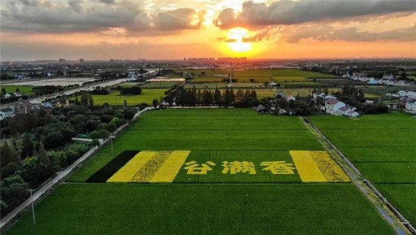 农药残留快速检测仪器厂家哪家好？