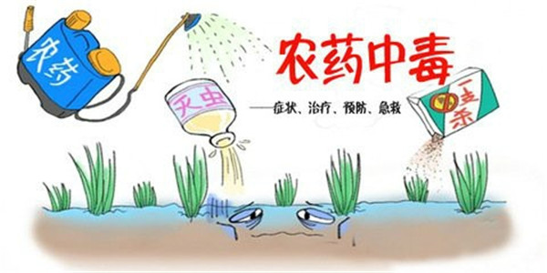 高速超大容量农残检测仪多少钱一台？