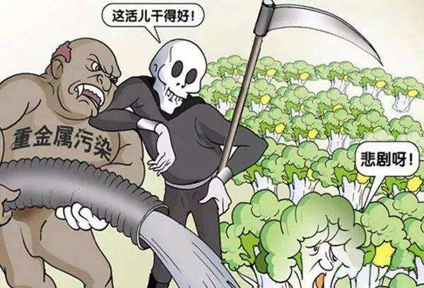 气相色谱仪农残哪个品牌好？