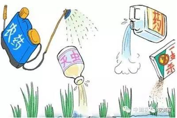 蔬菜农药残留快速检测仪多少钱一台？