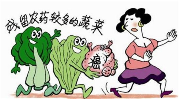 全自动农残检测仪多少钱？