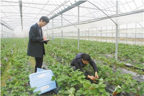 超市农残检测仪价格