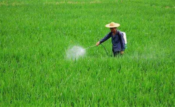 便携式农药残毒快速测定仪价格