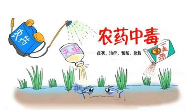 16通道农残检测仪哪个品牌好？