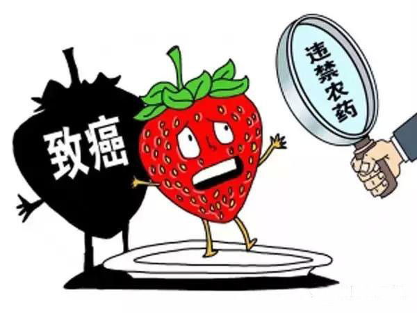 便携农残检测仪价格