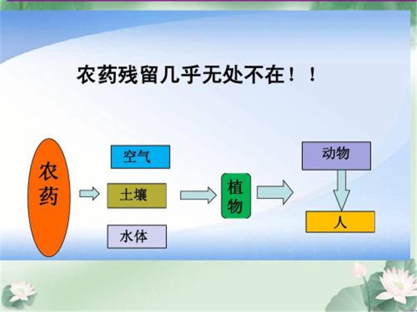 农药残留测速仪哪个牌子好？