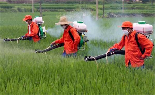多参数食品检测仪多少钱？