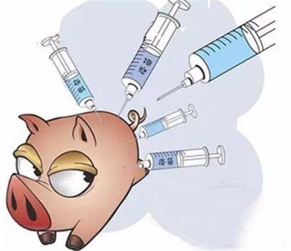 食品微生物快速检测仪多少钱？