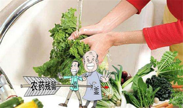 快速食品检测分析仪价格报价表