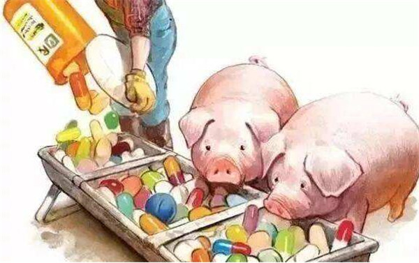 食用油品质检测仪多少钱？