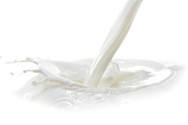 多功能食品快速检测仪哪个牌子好？