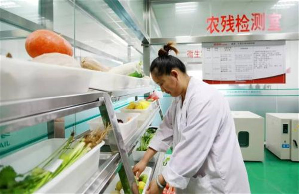快速食品检测分析仪哪个牌子好？