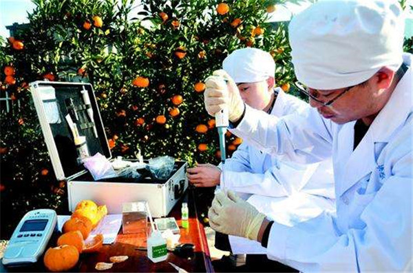 食品检测仪价格报价表