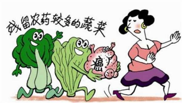 检测食品仪哪个牌子好？