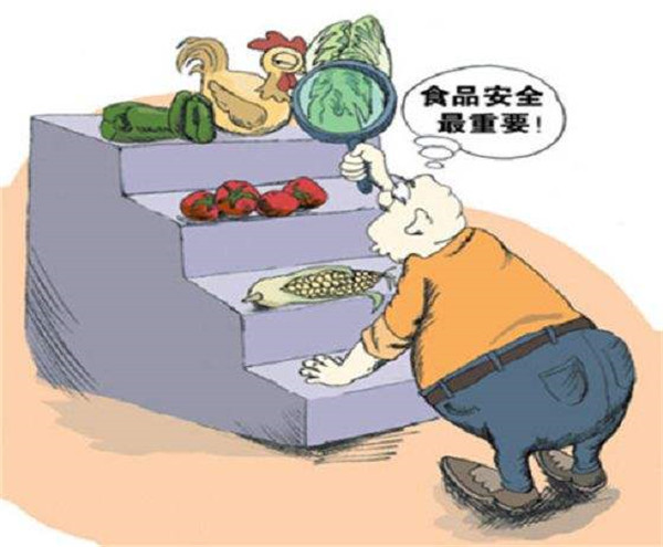 安全食品安全检测仪哪个牌子好？