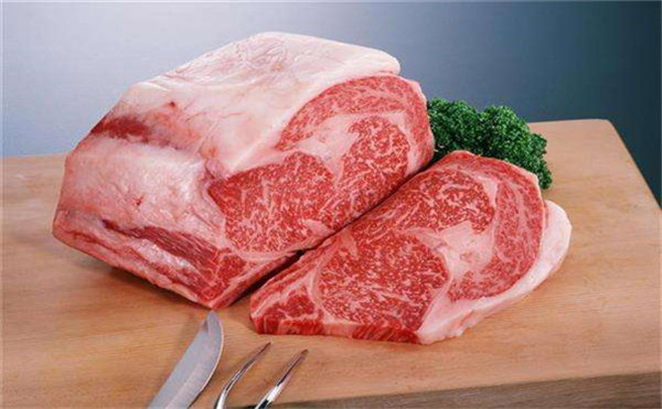 多功能食品安全测定仪价格报价表