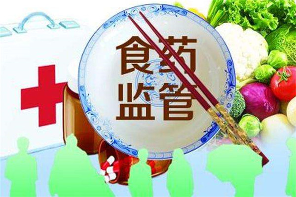 检查食品安全仪哪个牌子好？