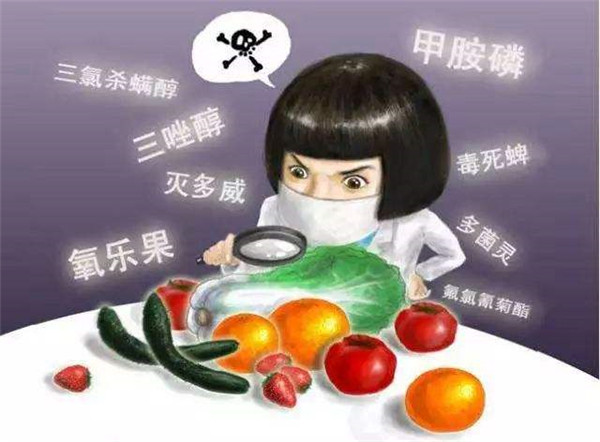 食品安全检测一体机哪个牌子好？