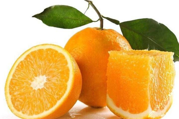 食品快速检测分析仪厂家哪家好？