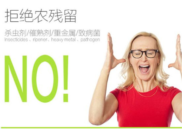 蛋白质检测仪多少钱？