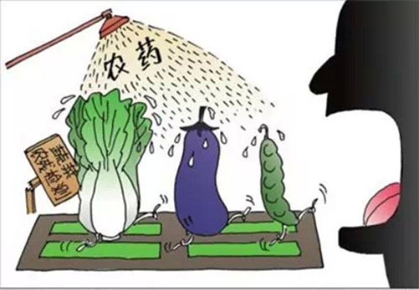多功能食品安全分析仪哪个牌子好？