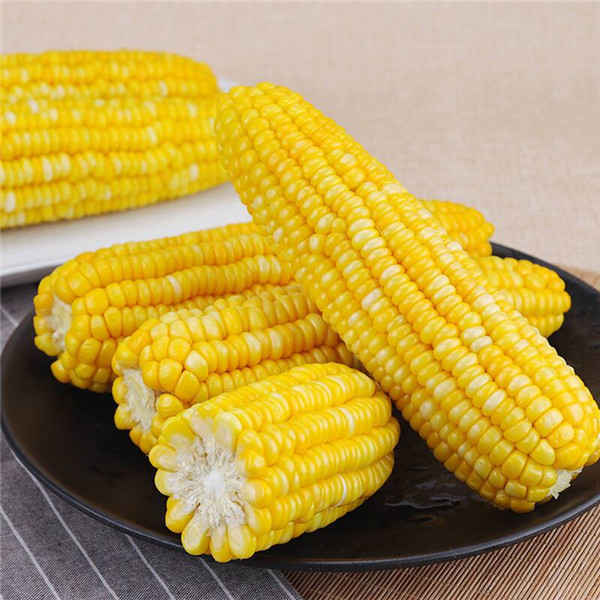 全自动食品安全检测仪哪个牌子好？