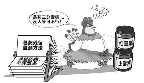 全自动食品分析仪多少钱？