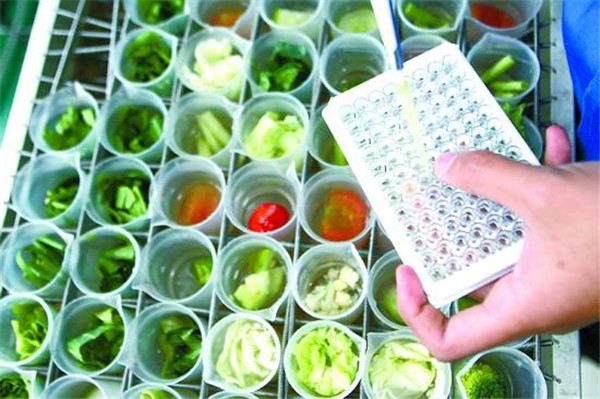 食品安全检查仪多少钱？
