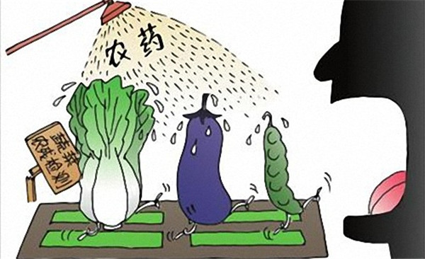 食品微生物检测箱哪个牌子好？