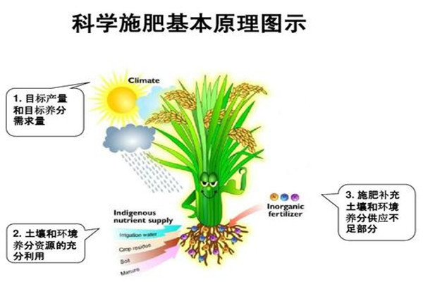 土壤水势温度测定仪哪个牌子好？