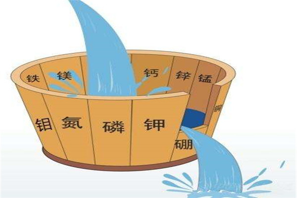土壤养分分析仪多少钱？