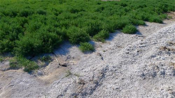 实验室高精度全项目土壤肥料养分检测仪哪个牌子好？