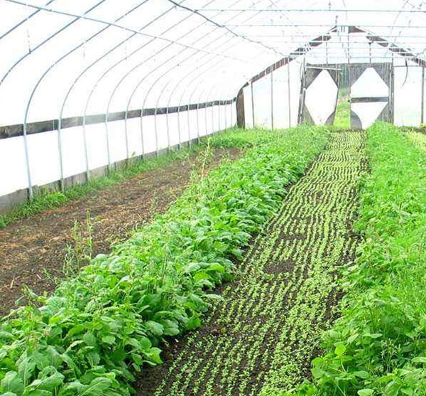 土壤紧实度测量仪价格报价表