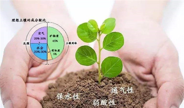 测定土壤养分测定仪哪个牌子好？