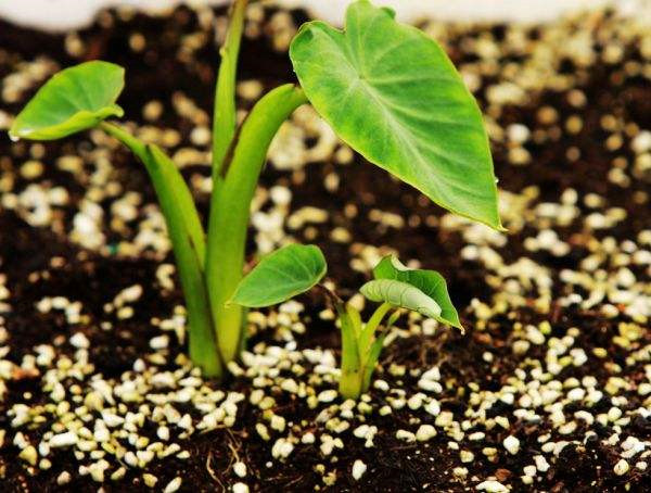 土壤水分分析仪价格报价表