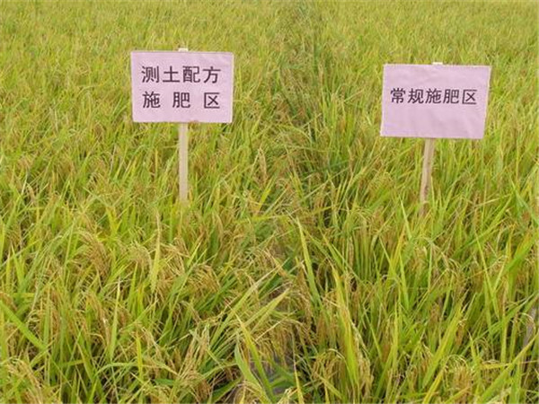 全自动土壤样品批量研磨粉碎机价格报价表