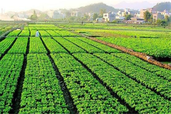 土壤盐分速测仪价格报价表