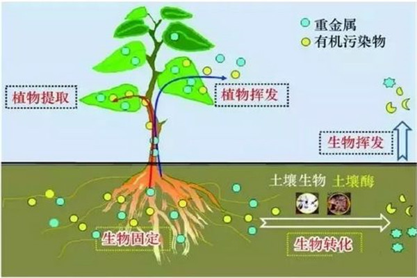 土壤对养分的检测仪厂家哪家好？