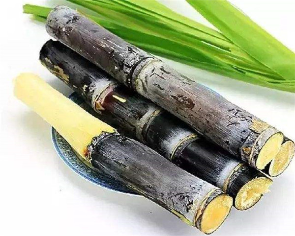 土壤养分测定仪器哪个牌子好？