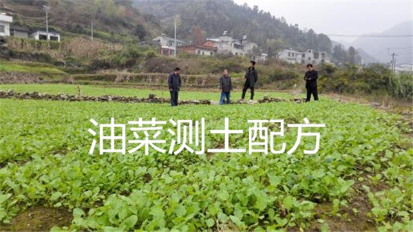 高智能多参数土壤肥料养分速测仪价格报价表