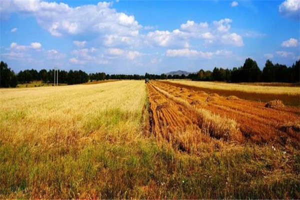 土壤含水量测定仪价格报价表